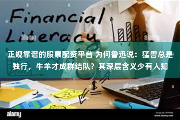 正规靠谱的股票配资平台 为何鲁迅说：猛兽总是独行，牛羊才成群结队？其深层含义少有人知