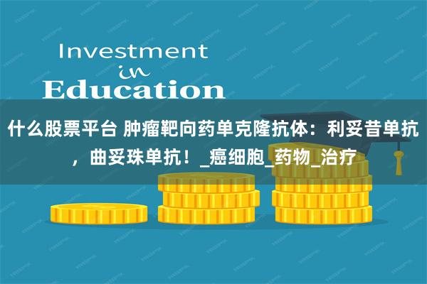什么股票平台 肿瘤靶向药单克隆抗体：利妥昔单抗，曲妥珠单抗！_癌细胞_药物_治疗