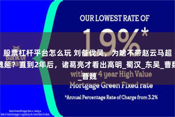 股票杠杆平台怎么玩 刘备伐吴，为啥不带赵云马超魏延？直到2年后，诸葛亮才看出高明_蜀汉_东吴_曹魏