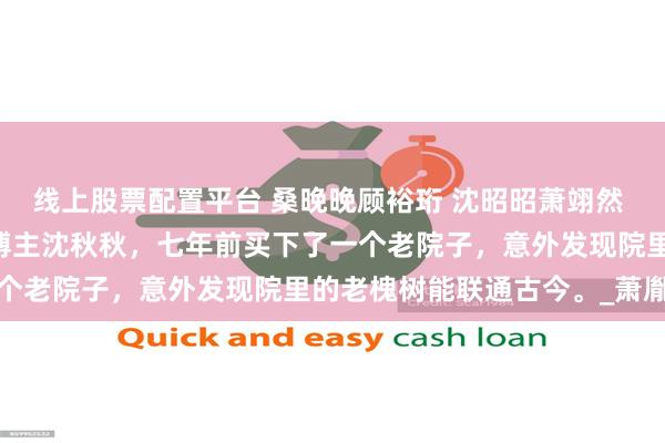 线上股票配置平台 桑晚晚顾裕珩 沈昭昭萧翊然 郑霜霜陈泽州 老房改造博主沈秋秋，七年前买下了一个老院子，意外发现院里的老槐树能联通古今。_萧胤宸