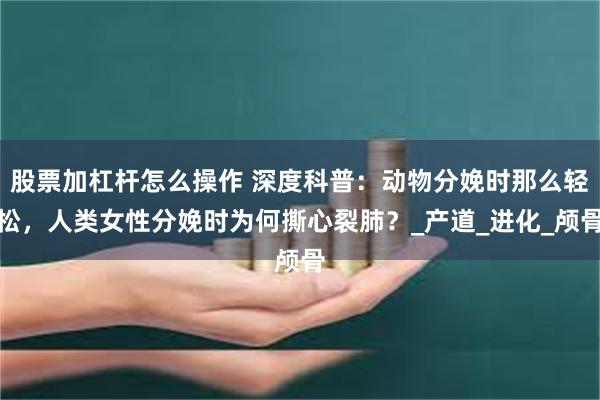 股票加杠杆怎么操作 深度科普：动物分娩时那么轻松，人类女性分娩时为何撕心裂肺？_产道_进化_颅骨